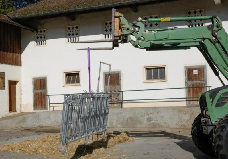 CalfHouse Premium XXL mit Umzäunung