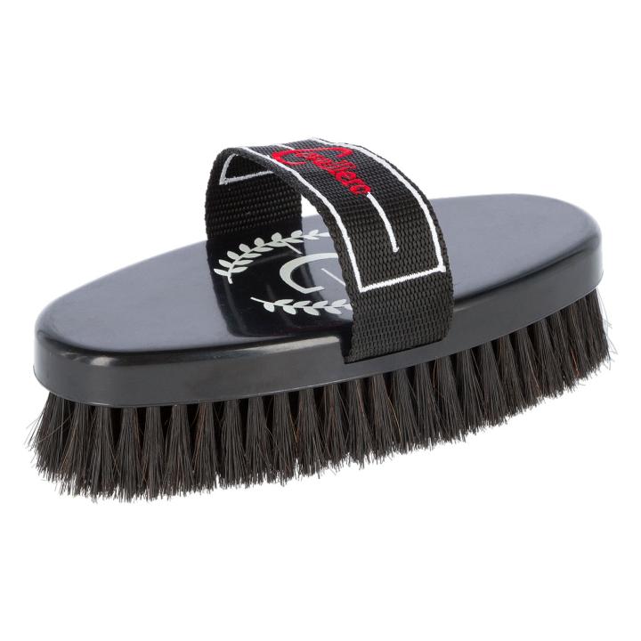 Putzset Horse Care