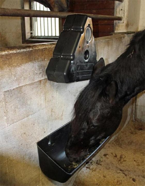 Futtersparautomat für Pferde