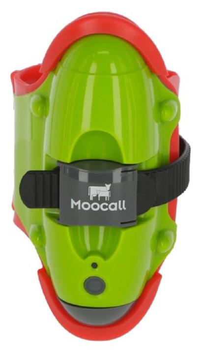 Moocal