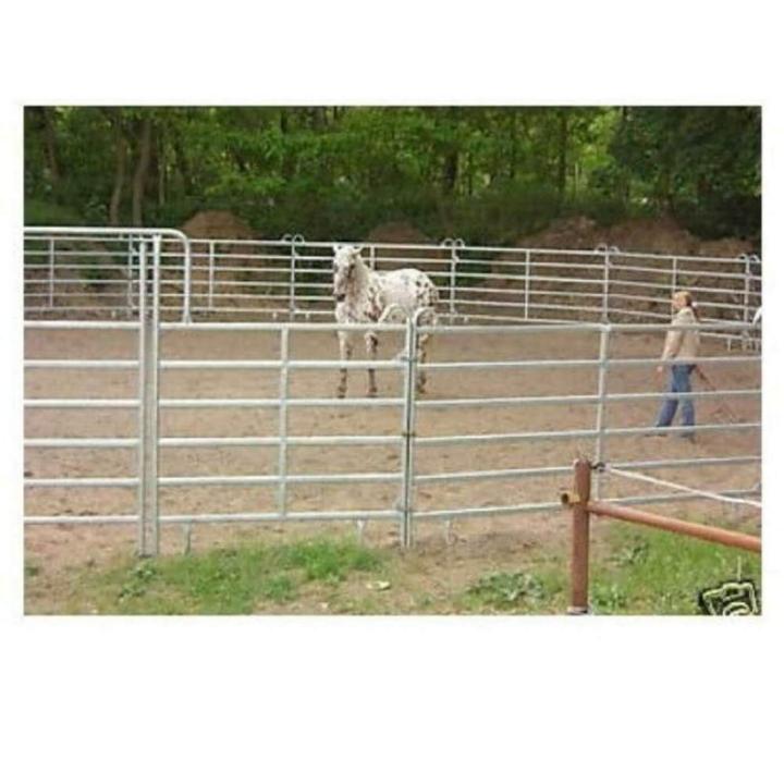 Roundpen Longierzirkel