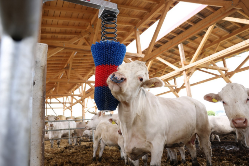 Kratzbürste HAPPYCOW FlexiSwing