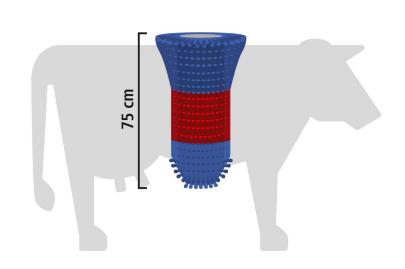 Größendarstellung Kratzbürste vs. Kuh