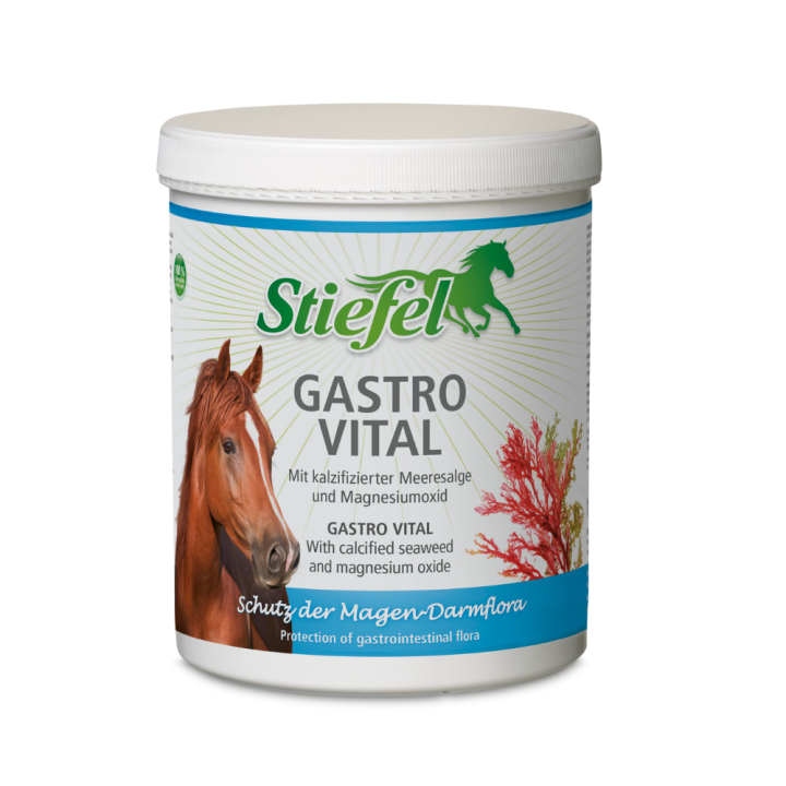 Stiefel Gastro Vital