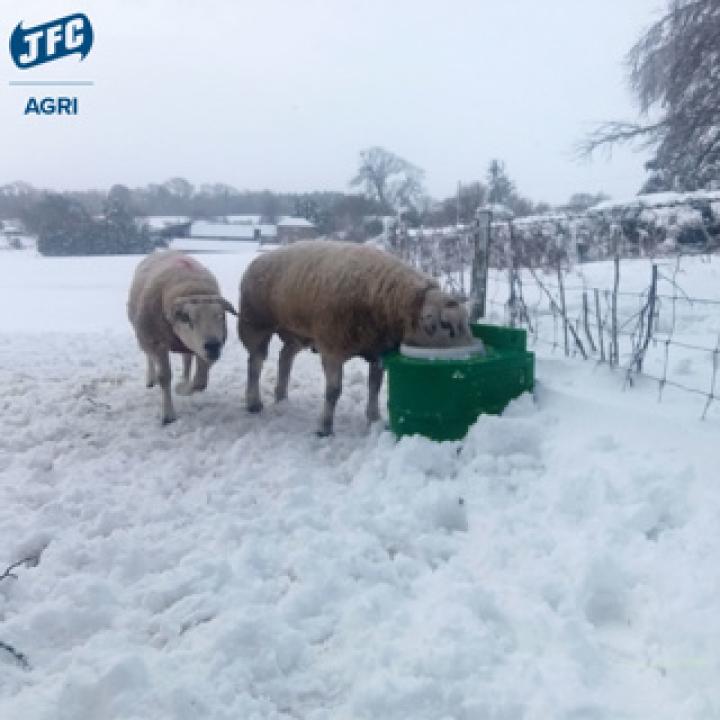 Frostschutzeimer TED01 Pony, Shetty und kleine Tiere