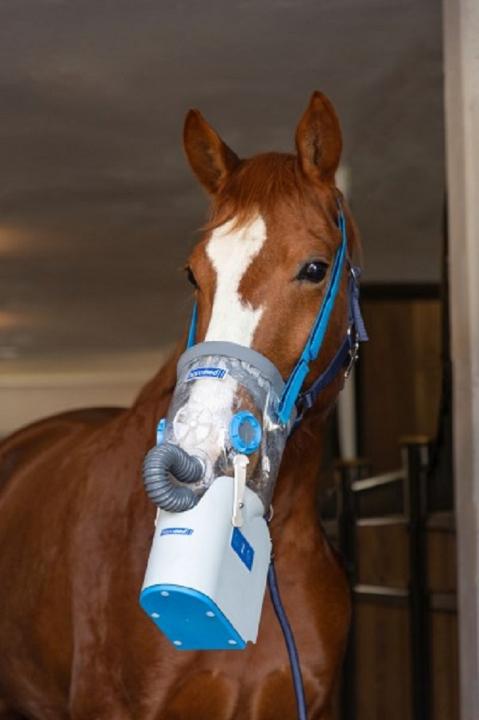 Akku-Ultraschall-Inhalator für Pferde AirOne Flex inkl. Warmblutmaske