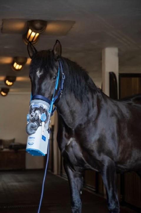 Akku-Ultraschall-Inhalator für Pferde AirOne Flex inkl. Warmblutmaske
