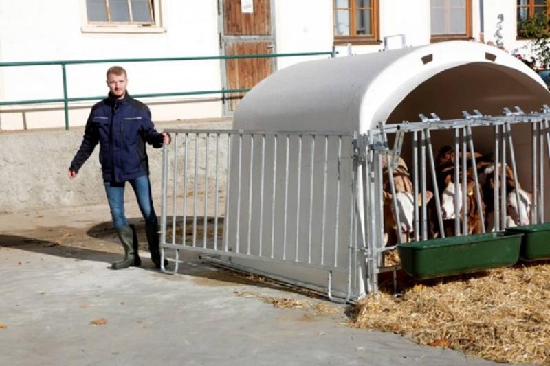Umzäunung für CalfHouse Premium XL