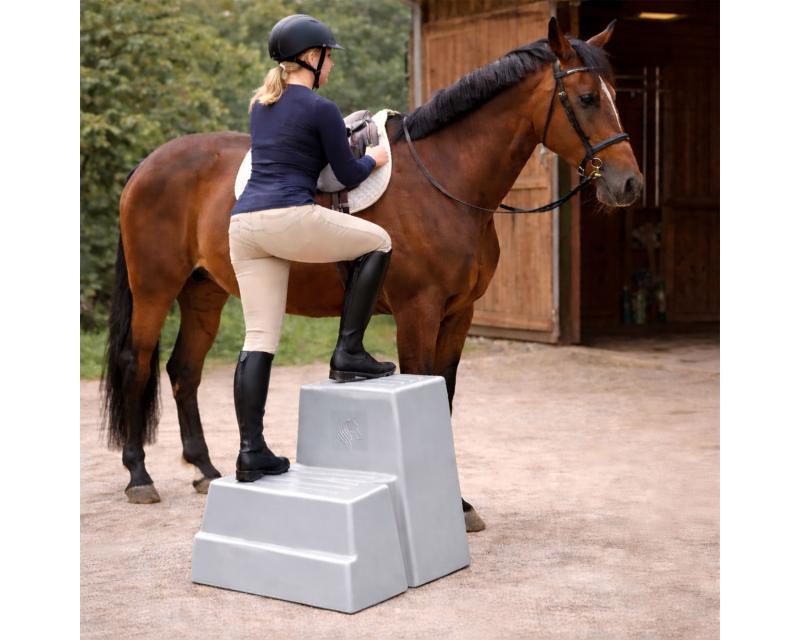 Aufstiegshilfe "2 Steps"