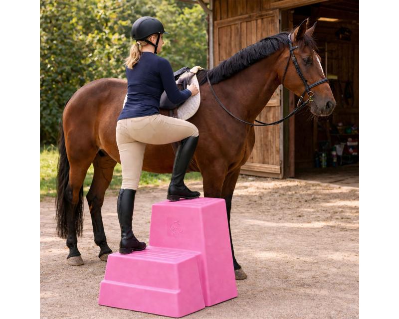 Aufstiegshilfe "2 Steps"