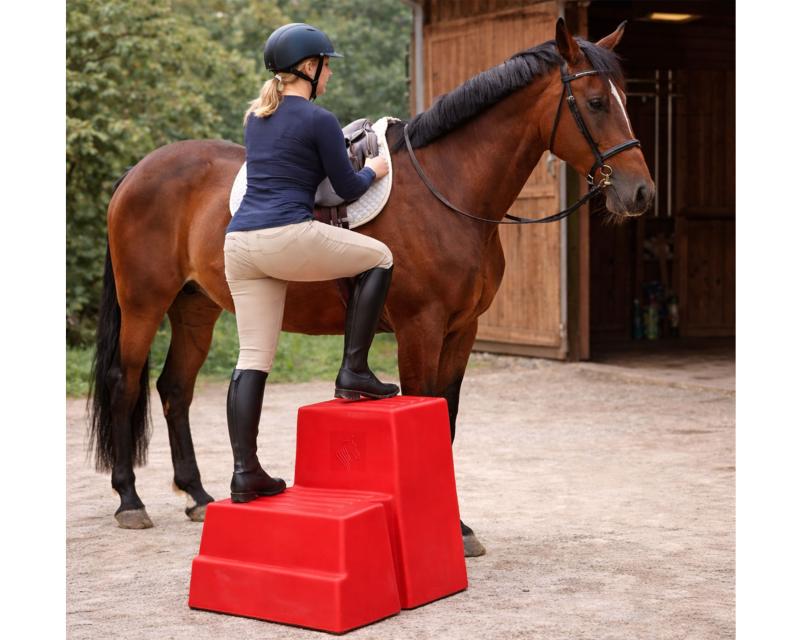 Aufstiegshilfe "2 Steps"