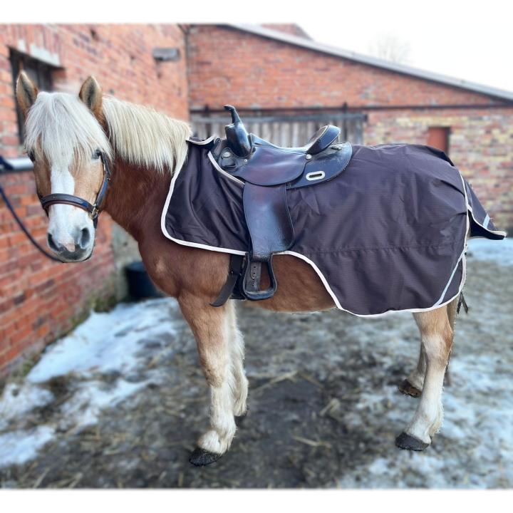 Ausreitdecke Active Ride / Exercise Sheet Fleece – 600D – Braun/Beige