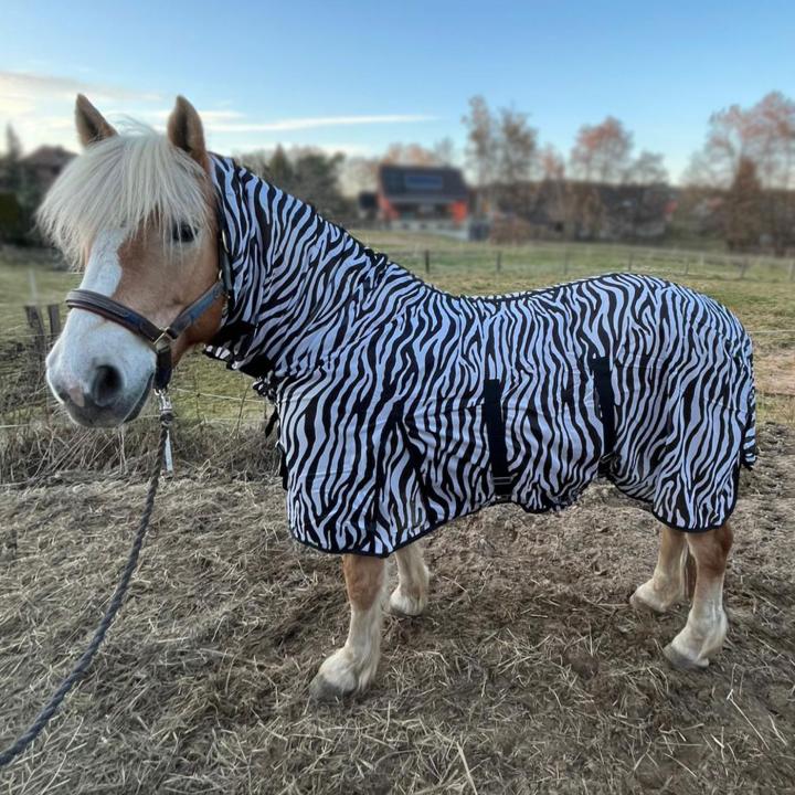 Zebra Fliegendecke mit Halsteil und Bauchlatz
