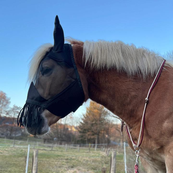 Fliegenmaske NoseGuard mit Ohrenschutz und Nasenfransen