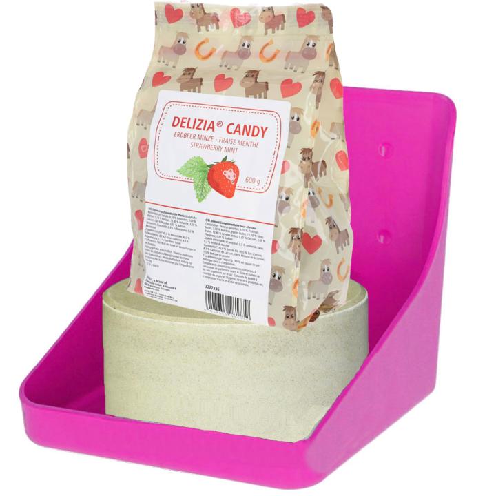 Pferde Leckstein Set