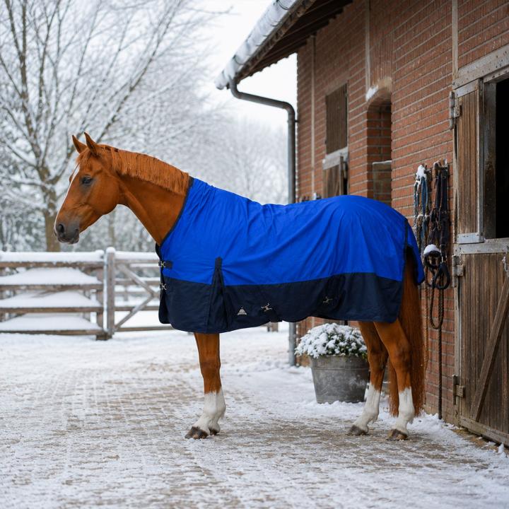 Outdoordecke Nikko Turnout 1680D Fleece - Royal/Navy