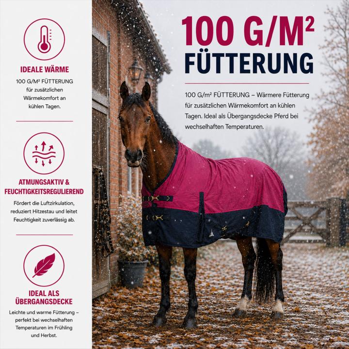 Winterdecke Caruso Turnout 1680D 100GSM - Raspberry/Navy