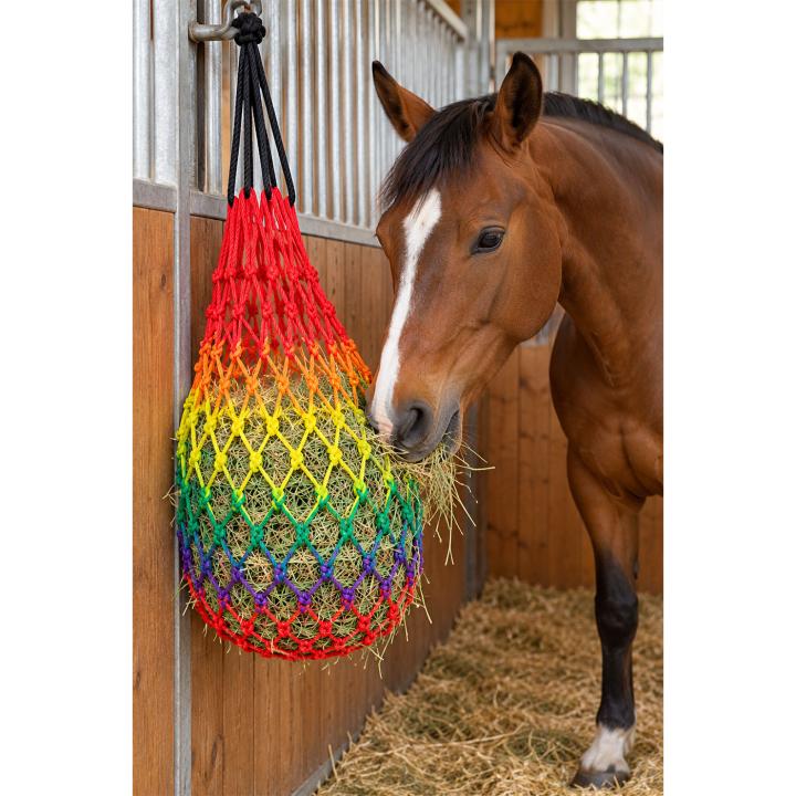Heunetzsack Rainbow