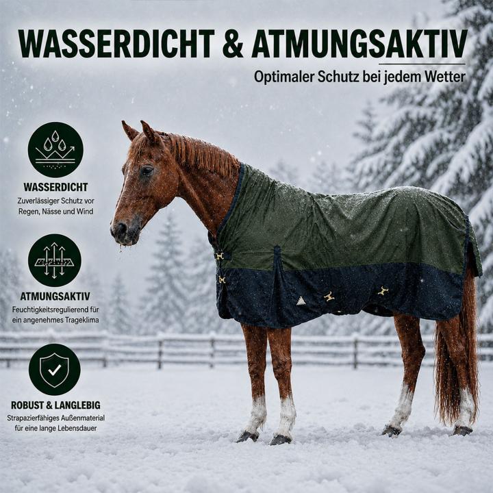 Winterdecke Borea Turnout 1680D 200GSM - Grün/Navy