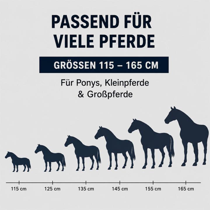 Winterdecke Oscar Turnout 1680D 50GSM - Petrol/Navy