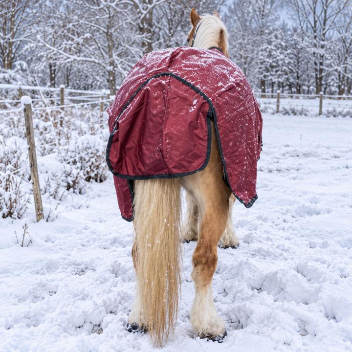 Winterdecke Red Winter - 1680D - 200g