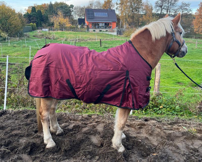 Winterdecke Red Winter - 1680D - 200g