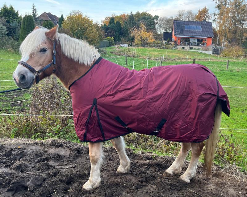 Winterdecke Red Winter - 1680D - 200g