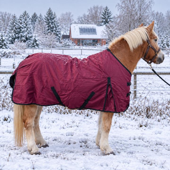 Winterdecke Red Winter - 1680D - 200g