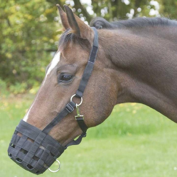 Fressbremse mit Gummiboden