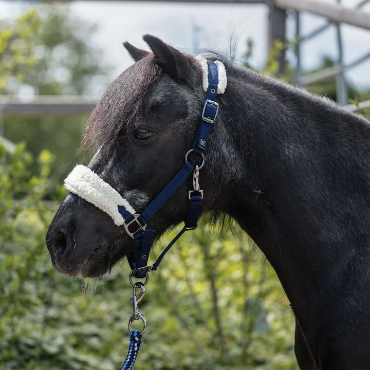 Halfter -Mia- für Shettys und kleine Ponys