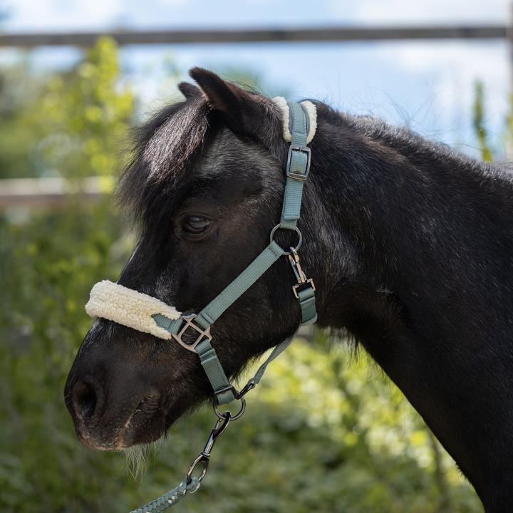 Halfter -Mia- für Shettys und kleine Ponys