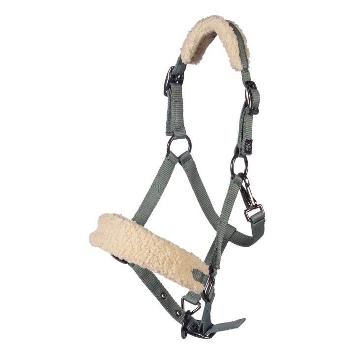 Halfter -Mia- für Shettys und kleine Ponys