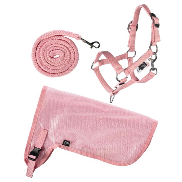 Hobby Horse Set - Summer - Halfter, Strick und Fliegendecke