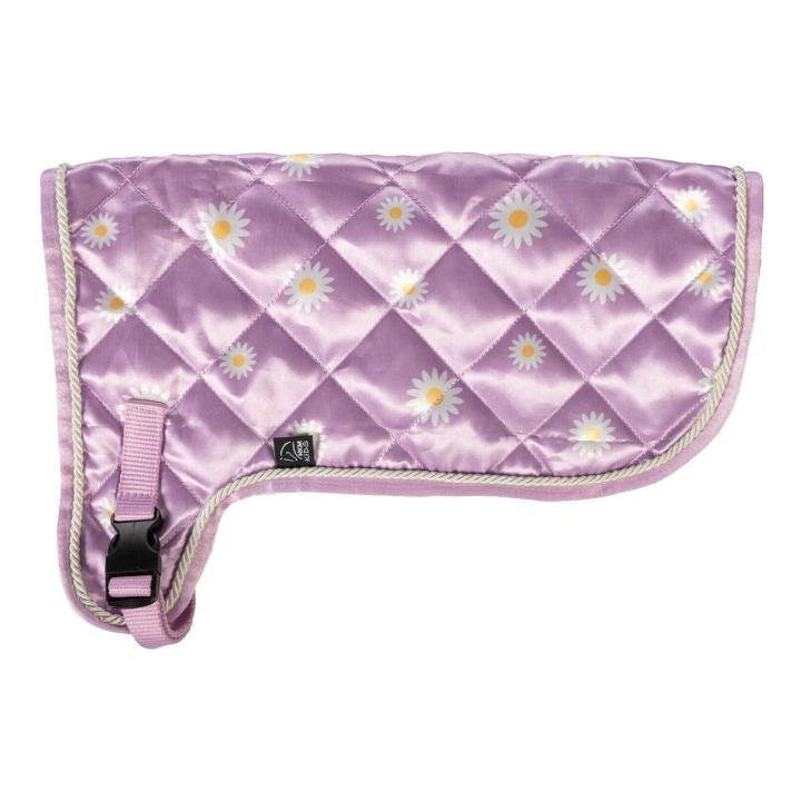 Lila mit Gänseblümchen Decke