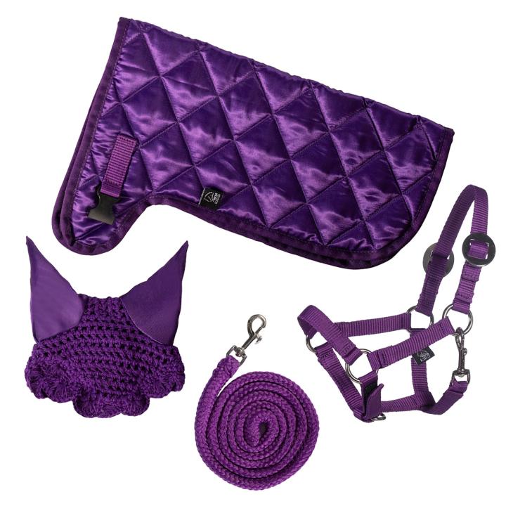 Hobby Horse Set - Lila Star - mit Hobby Horse – Fliegenhaube, Decke & Halfter mit Führstrick