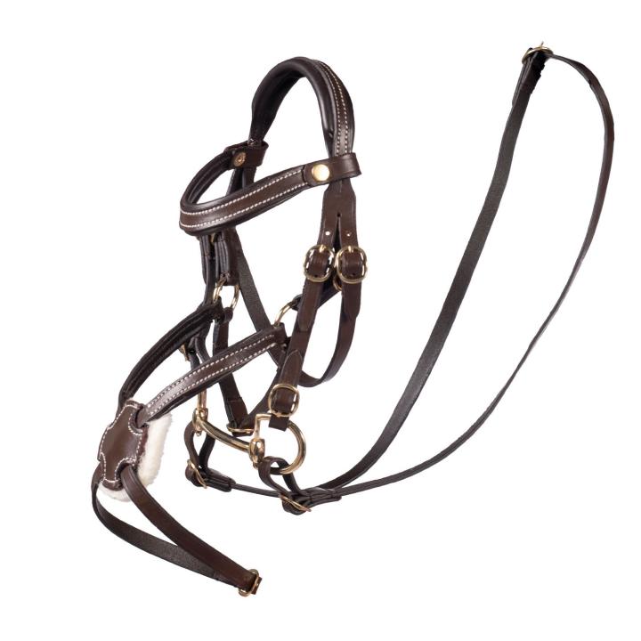 Hobby Horsing Mexikanische Ledertrense