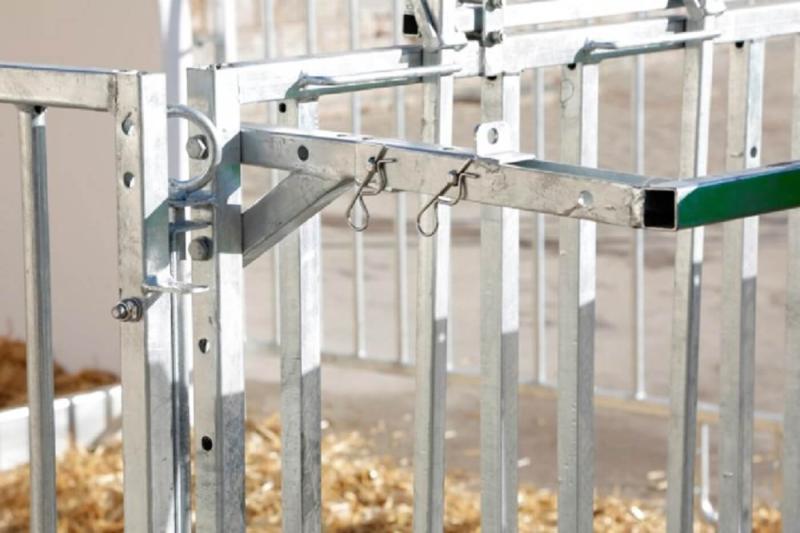 Umzäunung für CalfHouse Premium XL