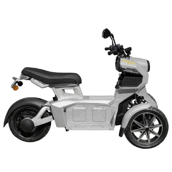 Goodyear Doohan eGo2 Dreirad