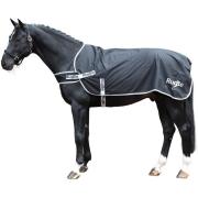 RugBe Führanlagen- und Spazierdecke