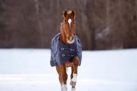 Winterdecke RugBe IceProtect 200 600D