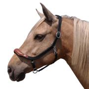 Lederhalfter 