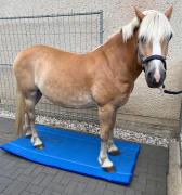 Hufmatte zum Wässern der Hufe mit Pferd