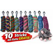 Überraschungsbox Anbindestricke