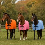 Abschwitzdecke -Basic- in 10 Farben