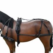 Fahrgeschirr Einspänner Leder