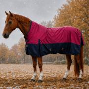 Winterdecke Caruso Turnout 1680D 100GSM - Raspberry/Navy