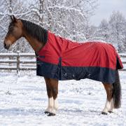 Winterdecke Dakota 100gr / 200gr