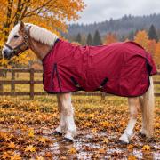 Outdoordecke Zara