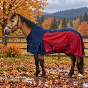 Weidedecke Zuzi