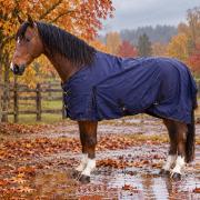 Regendecke Rain